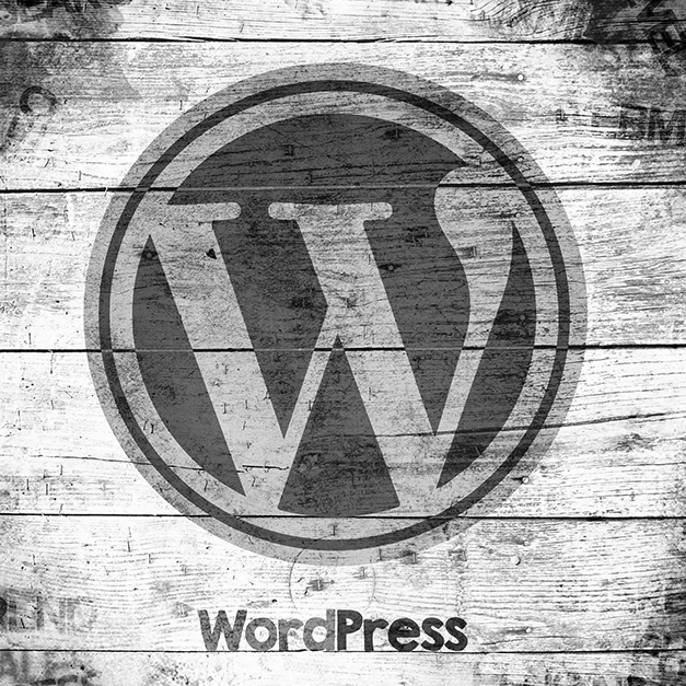 Cookie-banner plugins för WordPress